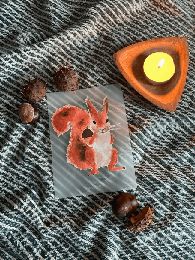 Bügelbild Eichhörnchen