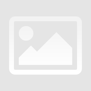 Postkarte Rotkehlchen "Frohes Fest*